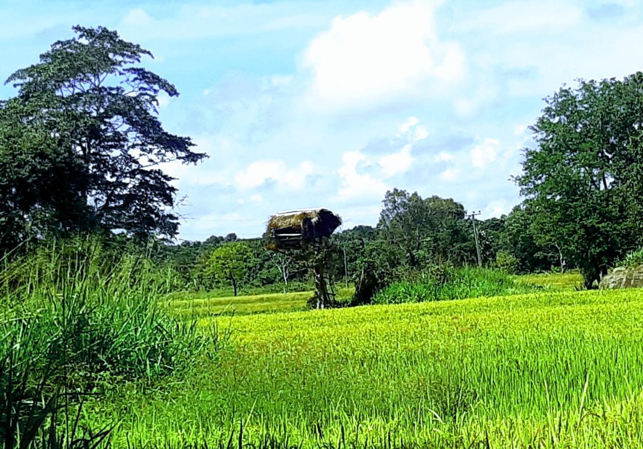 Hidden Lake Cottages Sigiriya Exterior foto