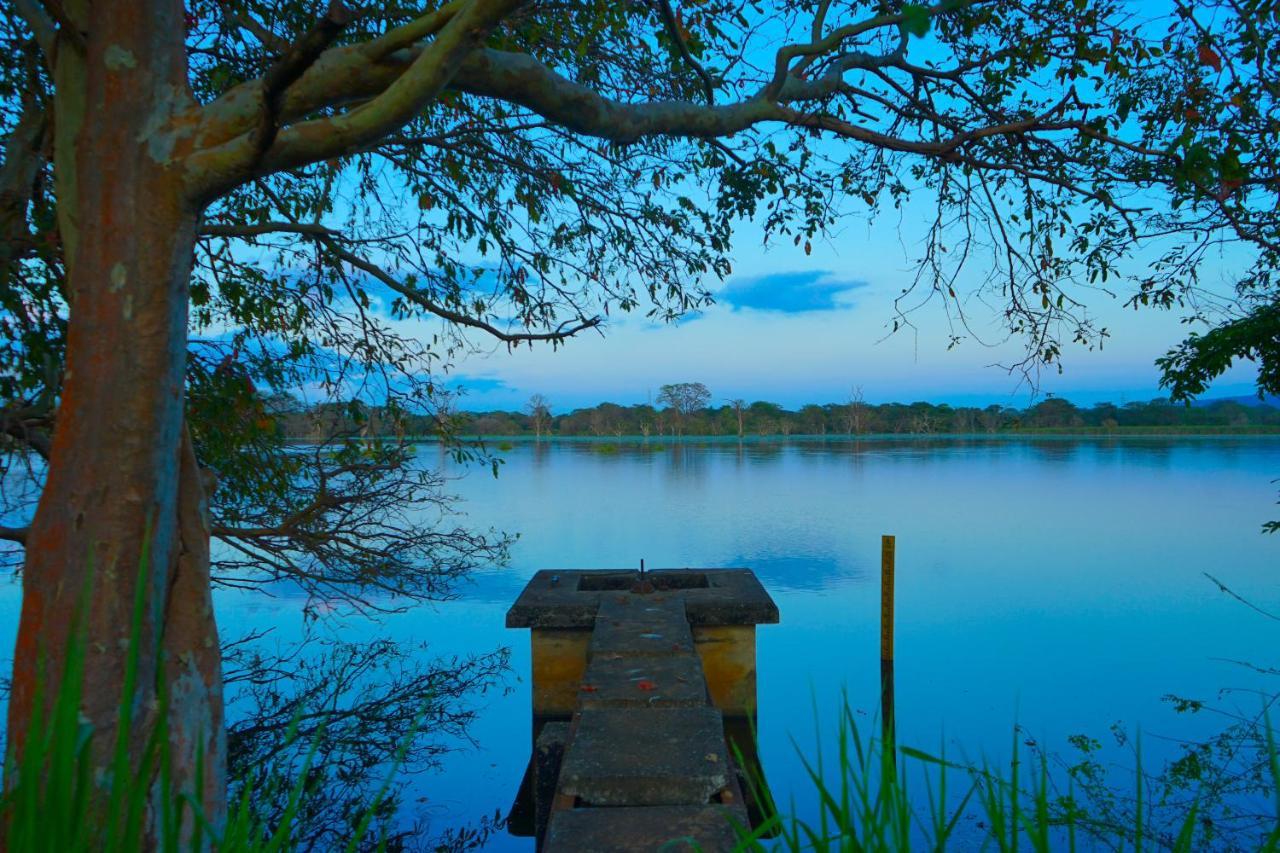 Hidden Lake Cottages Sigiriya Exterior foto